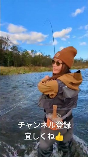秋のフライフィッシング🍁autumnfishing #shorts #flyfishing#釣り