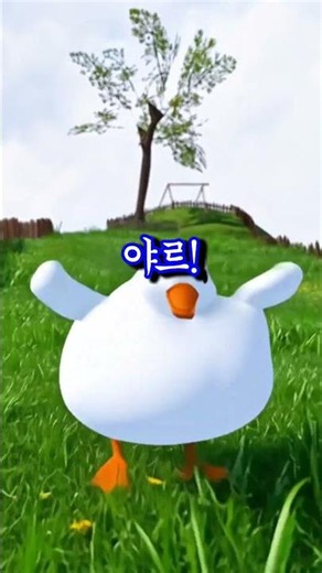 야르 알람송 #야르송 #알람