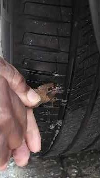 Tire Puncture Quick Fix: NEW Screw Plug Tire Repair Tutorial! 🛠️