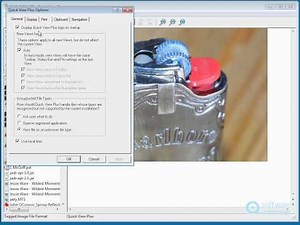 How to use Quick View Plus