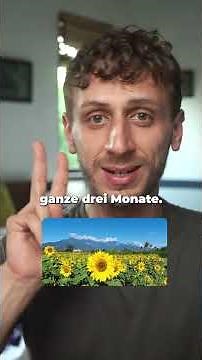 Psychologie studieren in Österreich - Pro & Kontra 🇦🇹🤔