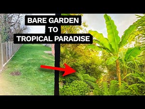 5 Years, 5 Hard-Earned Lessons: My Jungle Garden Journey