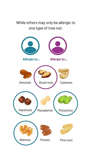 Want more quick facts about tree nut allergy? Click the link to learn more: https://foodallergycanada.ca/allergies/tree-nuts/ #QuickFacts #TreeNuts #TreeNutAllergy #FoodAllergy | Food Allergy Canada | Facebook