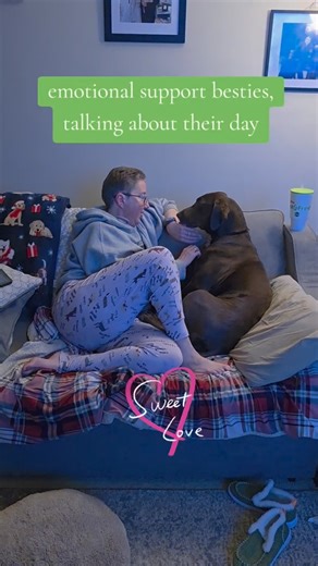 #kayseekay and #thelady are talking about their day. #emotionalsupportbesties #labparents | The adventures of Kandy Kane & Kaysee Kay