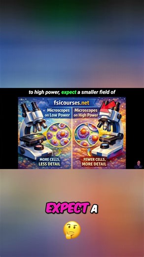 Microscope Secrets: High Power vs. Low Power Explained! #shorts