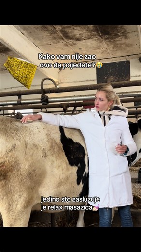 moo 🐮#kravica #moo #veterina #farma #veterinary