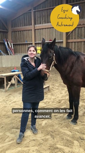 🐴 Et si un cheval devenait votre meilleur coach de leadership ?