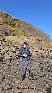 POV: You're birdwatching with our rangers on the Isle of Canna! A part of the Small Isles, an archipelago of islands in Scotland’s Inner Hebrides, Canna is a paradise for birds – spot ducks, geese, waders and seabirds when you visit. If you're really lucky, you'll even see (but more likely hear) the elusive corncrake, which spends most of its time hiding in tall grass or reedbeds. The island's recorded brilliant numbers in recent years. Canna is an incredibly special place with a passionate and 