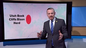 State law classifies bison as livestock and wildlife, protecting wild bison that wander into Colorado