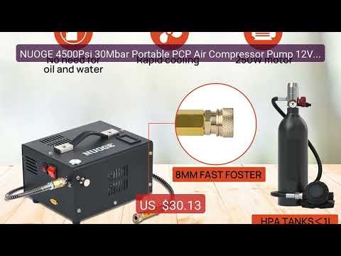 NUOGE 4500Psi 30Mbar Portable PCP Air Compressor Pump 12VDC/110V/22... — Top Rated 2026 | Buy Now!