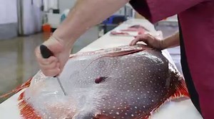24M views · 80K reactions | Watch fish monger Tommy Gomes of Catalina Offshore Products break down an Opah and drop some knowledge on the 7 cuts of meat. Wüsthof - USA  by Sam Wells Photography #rollwithus #chefsroll #chefslovewusthof | Chef's Roll | Facebook