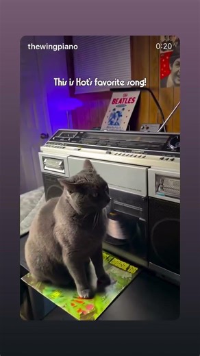 1981 Sharp VZ 2000 🔥📻🔥 “Boom Box”