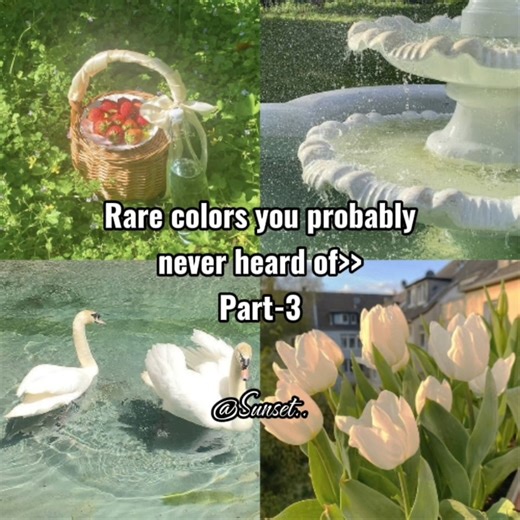 Rare colors you probably never heard of✨️Part 3