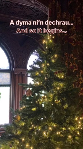 Mae’r gwaith addurno ar ddechrau | The decorating begins… **** Tra bo drysau’r castell ar gau i’r cyhoedd mae digon o fwrlwm tu ôl i’r llen. Mae gwaith wedi dechrau ar addurno ystafelloedd y castell ar gyfer y Nadolig. Gyda pob ystafell ar lawr grisiau’r castell ar agor o Tachwedd 27, mae dipyn o waith addurno i’w gwneud i gael popeth yn barod, ond os ydy’r coed cychwynol yn arwydd o unrhywbeth, mi fydd yn ddigon o sioe. Ewch draw i’n gwefan i drefnu eich ymweliad, dolen yn ein bio. **** While t