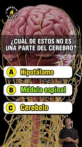 1.1M views · 44K reactions | Desafío de Preguntas de Antomía Humana易...