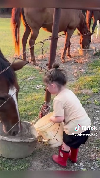 Funny kids and horses #horses #animals #funnyanimals #fyp #funnykids | horses
