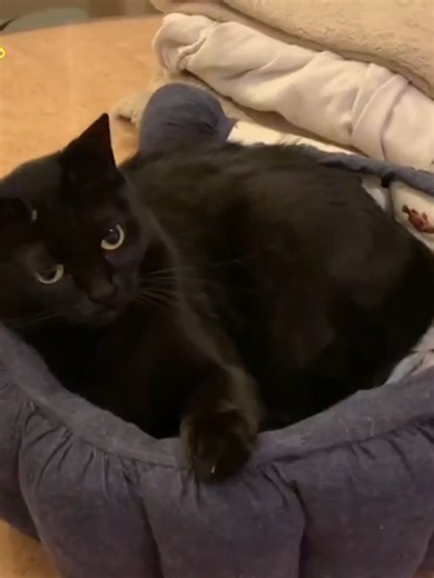 晴れの日の発想夜だからこそのサブスクの始め方の始め方