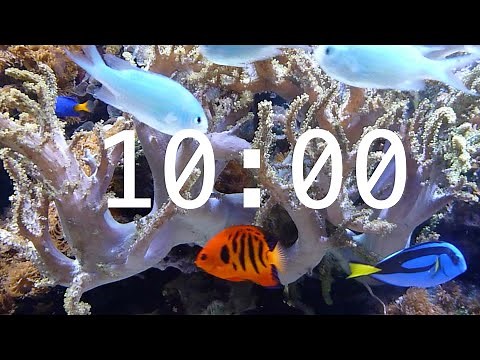 10 Minute Aquarium Countdown Timer | Ocean Timer | Fish Timer | Relaxing Music