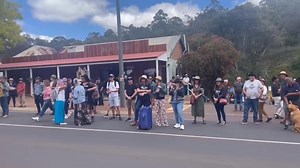 LeFrench Taunter on Reels