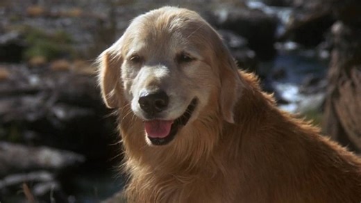 32-ans-apres-sa-sortie-ce-film-d-aventure-merveilleux-merite-d-etre ...