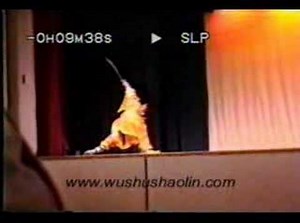 Shaolin Shuang Dao 少林双刀