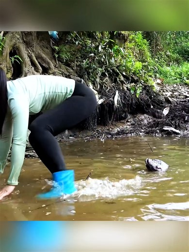 Interesting Fishing Technique Catch A Lot Of Big Fish #fish #fishing #fishinglife #catchfish #fishtrap #outdoor #survival #fyp