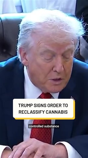 The Recount on Instagram: "Trump is easing restrictions on cannabis in his latest executive order, which directs the drug be reclassified from a Schedule I narcotic to a Schedule III substance. The move paves the way for the FDA to study its medical uses. “It doesn’t legalize marijuana in any way, shape, or form and in no way sanctions its use as a recreational drug,” Trump said on Thursday at the order signing, adding his executive action is aimed at helping people battling chronic pain. Some o