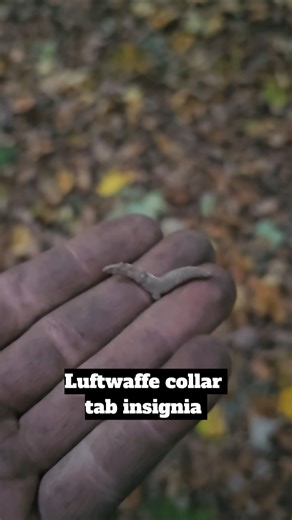 German World War 2 Luftwaffe Collar Insignia Found #ww2 #metaldetecting #relichunting #german #wwii