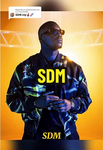 L'évolution de SDM dans le rap français
