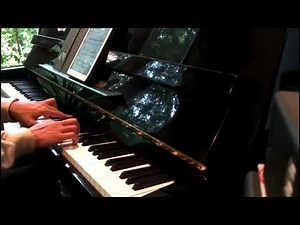 Flight of the bumblebee (2X speed)