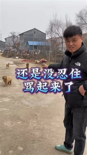 Hilarious Dog Sound Prank Gone Wild! 😂