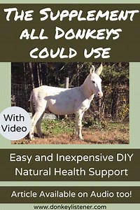 Donkey Care: ACV and Garlic - The Donkey Listener