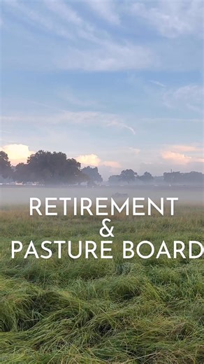 🏇 Dry Stalls for Rent – Partial Board Options Available (Ocala/Reddick) 🏇 Offering long-term, short-term, weekend, or layover options in a beautiful, well-equipped facility! 🌟 6 RV hook-ups 🐴 Rubber-matted stalls and aisleways 🧽 4 grooming stations (one with wash rack) 💨 New ceiling fans in every stall 🏆 200x185 jump field 🌾 210x85 fiber arena with mirrors 🌿 200x150 grass area ⭕ 60-ft round pen 📍 2 miles from Majestic Oaks Eventing Complex 📍 6 miles from Ocala Jockey Club 📍 18 miles 