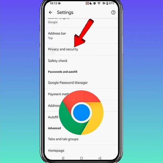 Google Chrome Privacy and Security || Google Payment Access Privacy Setting #google #chrome #setting