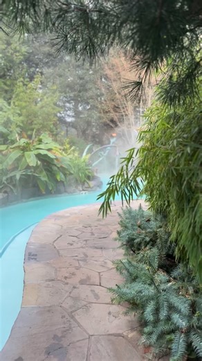 Using up my last couple of soaks before the year end, I love that they gave away a stamp cards for a prize. #finding_fina #mcmenaminspassport | Finding Fina