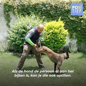 Een man werd midden op de openbare weg aangevallen door een woedende pitbull, die hem niet wilde laten gaan. Voorbijgangers wisten niet hoe ze hem moesten helpen, en na momenten van wanhoop besloot een van de mensen een ongebruikelijke en opvallende techniek toe te passen om het dier van hem af te krijgen, wat ongelooflijke resultaten zou opleveren ... | Positief