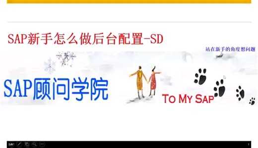 SAP新手如何做后台配置-SD篇