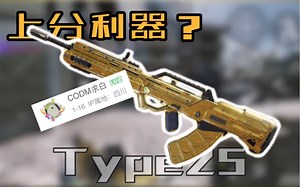 【CODM】省标Type25能否成为上分利器_游戏热门视频