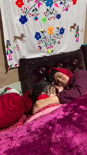 Exploring Daily Life in a Usa Village Through Vlogs