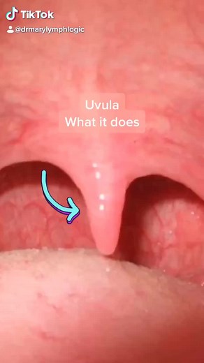 Understanding the Uvula: What Parents Should Know