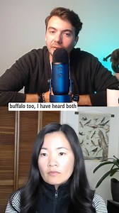 17K views · 183 reactions | Plains bison—commonly called buffalo—hold tremendous cultural and spiritual significance for many of North America’s Indigenous people. Discover how bison are making an exciting comeback and returning in greater numbers to the Great Plains of North America in the latest episode of WWF’s Wildlife Café series ☕怜. Watch now: https://wwf.to/4fpcdbX. | World Wildlife Fund | Facebook