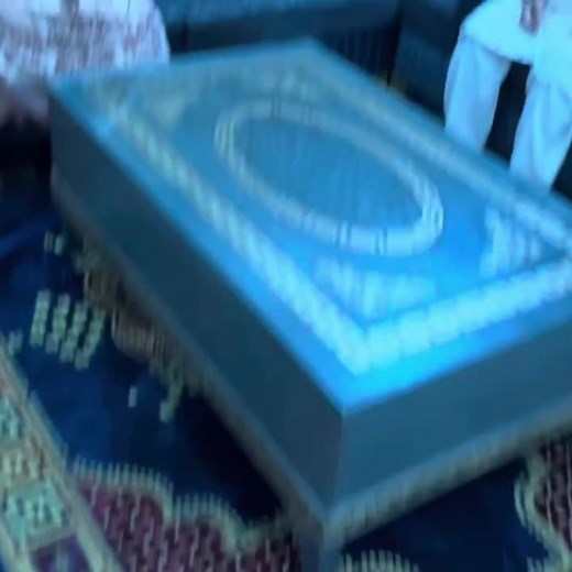 Wicky Cheema Vlogs on TikTok