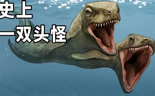 史上第一双头蜥蜴？