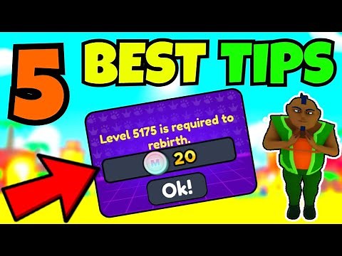 BEST 5 TIPS In Pet Posse! OVERPOWERED😱 | Roblox Pet Posse