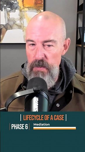 Lifecycle of a Case, Phases 6 & 7: Mediation & Expert Discovery