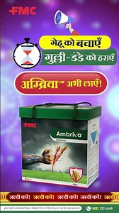 FMC India | अम्ब्रिवा™ खरपतवारनाशक अपनाएँ - गुल्ली-डंडे पर तुरंत नियंत्रण पाएं! #FMCIndia #Ambriva