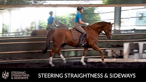 25K views · 347 reactions | Mary Wanless BHSI BSc does a live double bill of two session back to back this weekend! Sessions 2 & 3 from the Steering, Straightness & Sideways online video training course. Click for more information! | DressageTraining.TV | Facebook