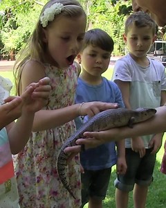 35 reactions · 4 comments | Unleash your little animals with a Zoo-It-Yourself Birthday Party! | Perth Zoo | Facebook