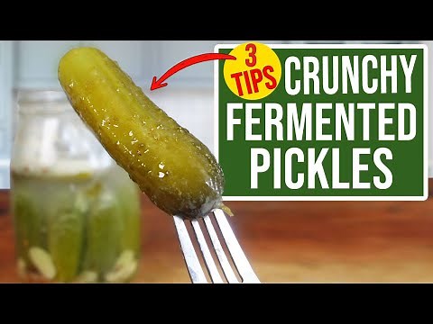 3 TIPS for making FERMENTED PICKLES CRUNCHY!