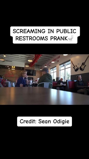 Hilarious Screaming in Public Restrooms Prank